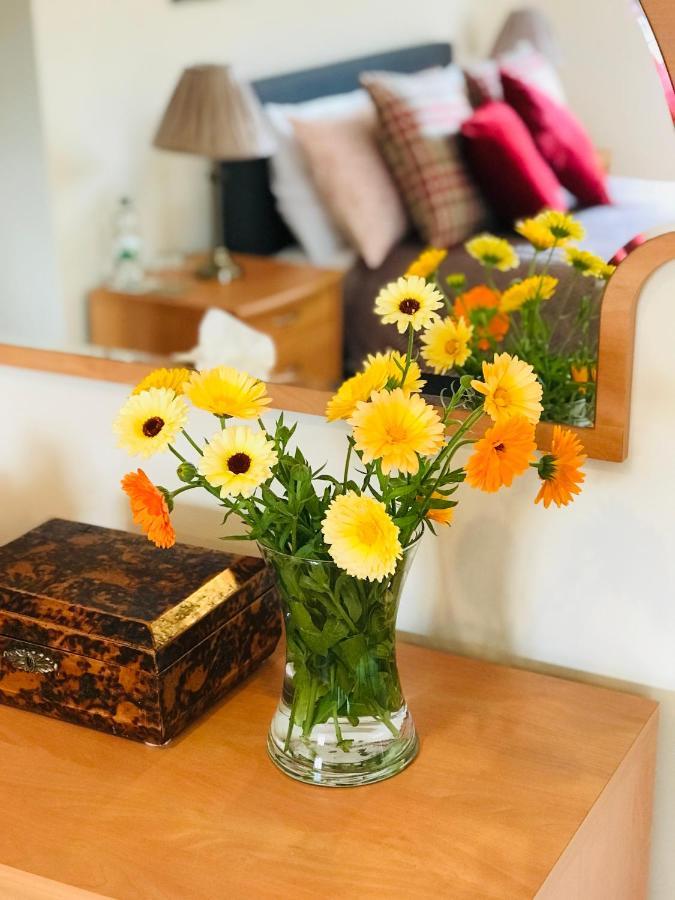 Charming Hen Cottage Countryside Retreat Lincoln Newball Экстерьер фото