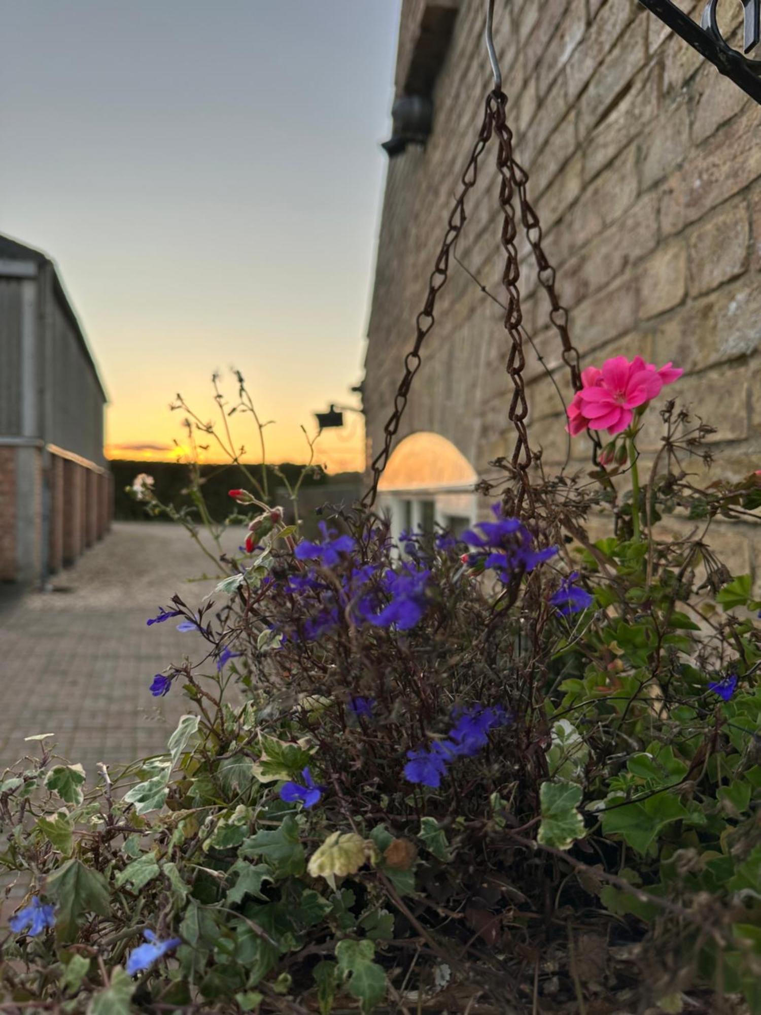 Charming Hen Cottage Countryside Retreat Lincoln Newball Экстерьер фото